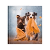 Фотоальбом UFO 10x15x200 PP-46200 Friends Dog
